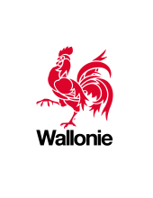 Wallonie — logo officiel avec le coq rouge